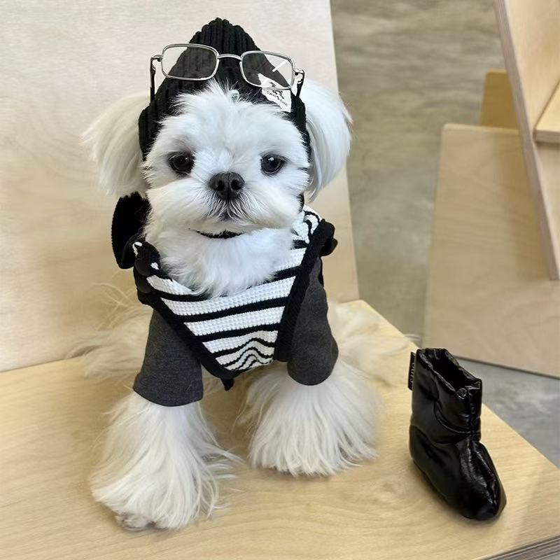 T1166 Autumn and winter cat and dog clothes spring cat and dog striped cloak coat small dog clothes