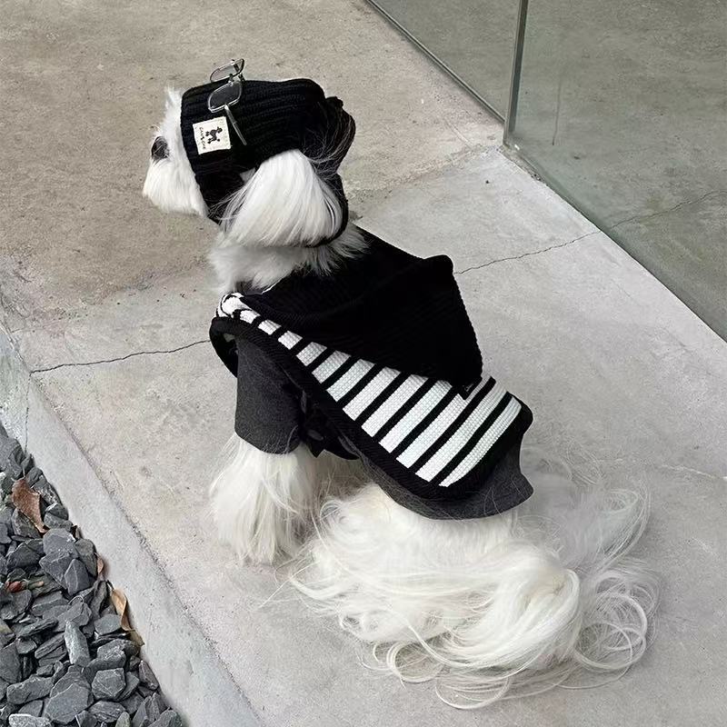 T1166 Autumn and winter cat and dog clothes spring cat and dog striped cloak coat small dog clothes