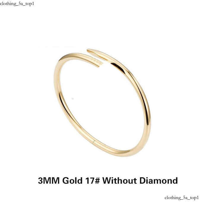 Classic 3/4Mm Wide Thin Narrow Bangle Bracelet Designer For Women Men Stainless Steel Plated Gold Nail Bracelet Fashion Designer Jewelry Woman Christmas Gift 8f3