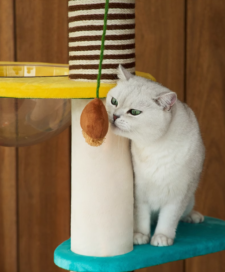 Cat-Friendly Play Structure - Mushroom Design W/Scratch Surface for Cats