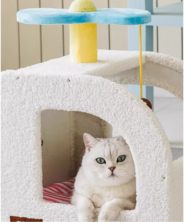 Stylish Airliner Style Kitty Shelter - Ergonomic Sleep Space Combining Durability & Cozy Cushioning