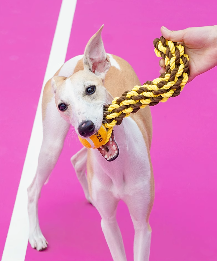 Long-lasting Teething Aid: Multi-functional K9 Cord Chewing Puzzle Game