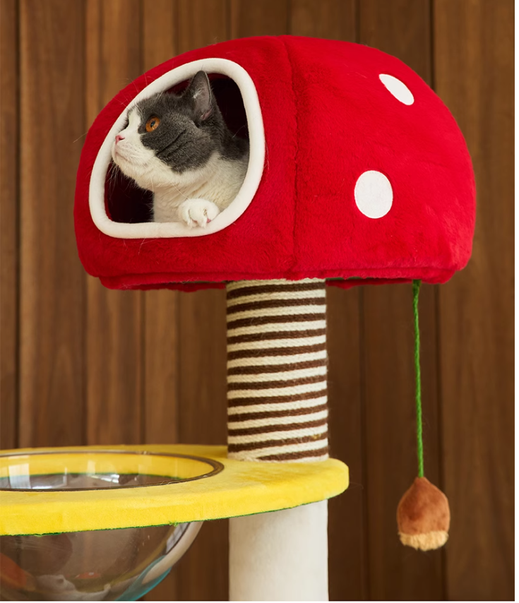 Cat-Friendly Play Structure - Mushroom Design W/Scratch Surface for Cats