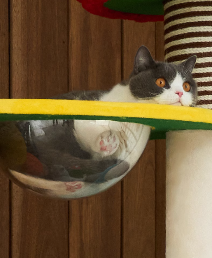 Cat-Friendly Play Structure - Mushroom Design W/Scratch Surface for Cats