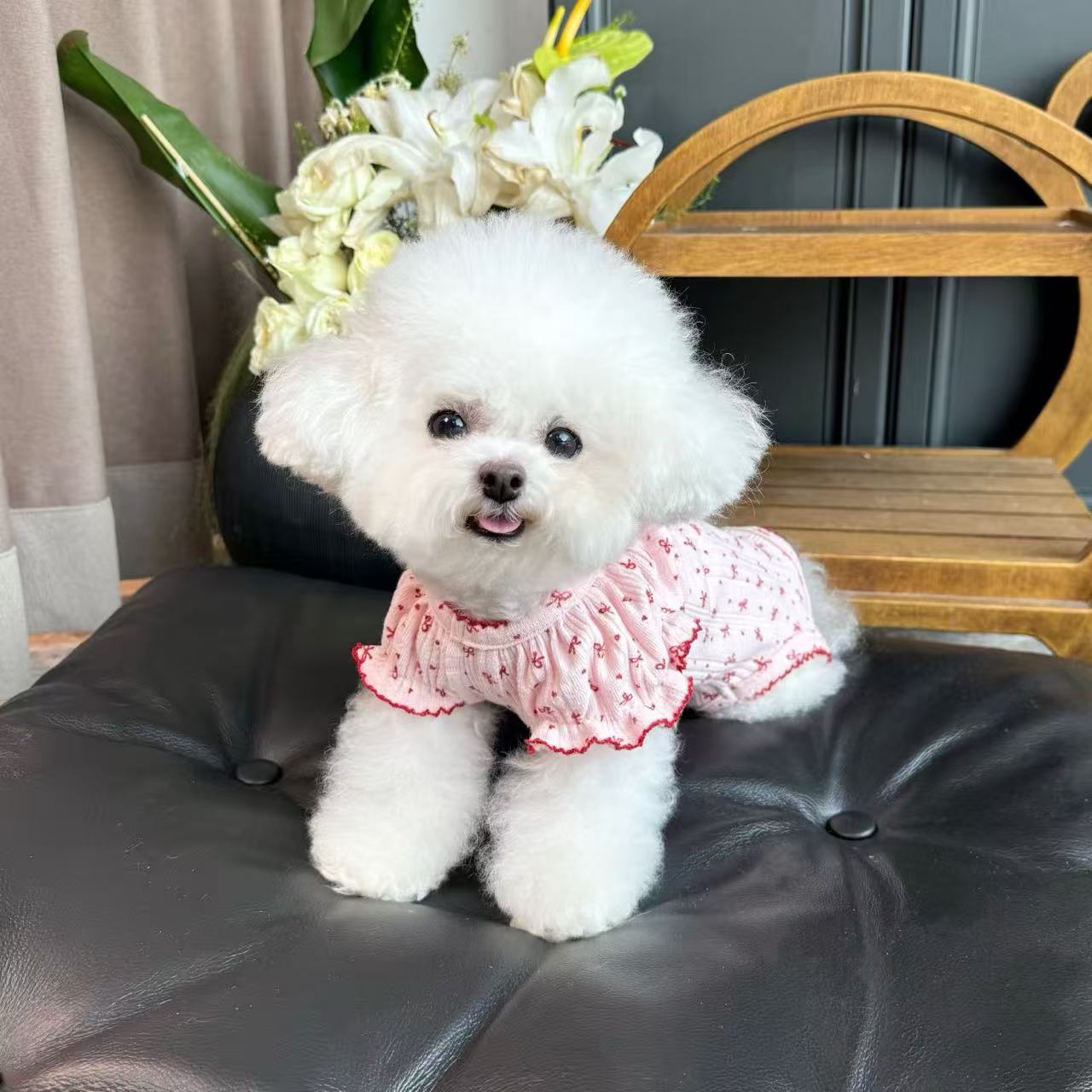 T1176 Five Little White Bears Pet Clothes Autumn and Winter New Plush Striped Cardigan Vest Dog Cat Traction Buckle Jacket