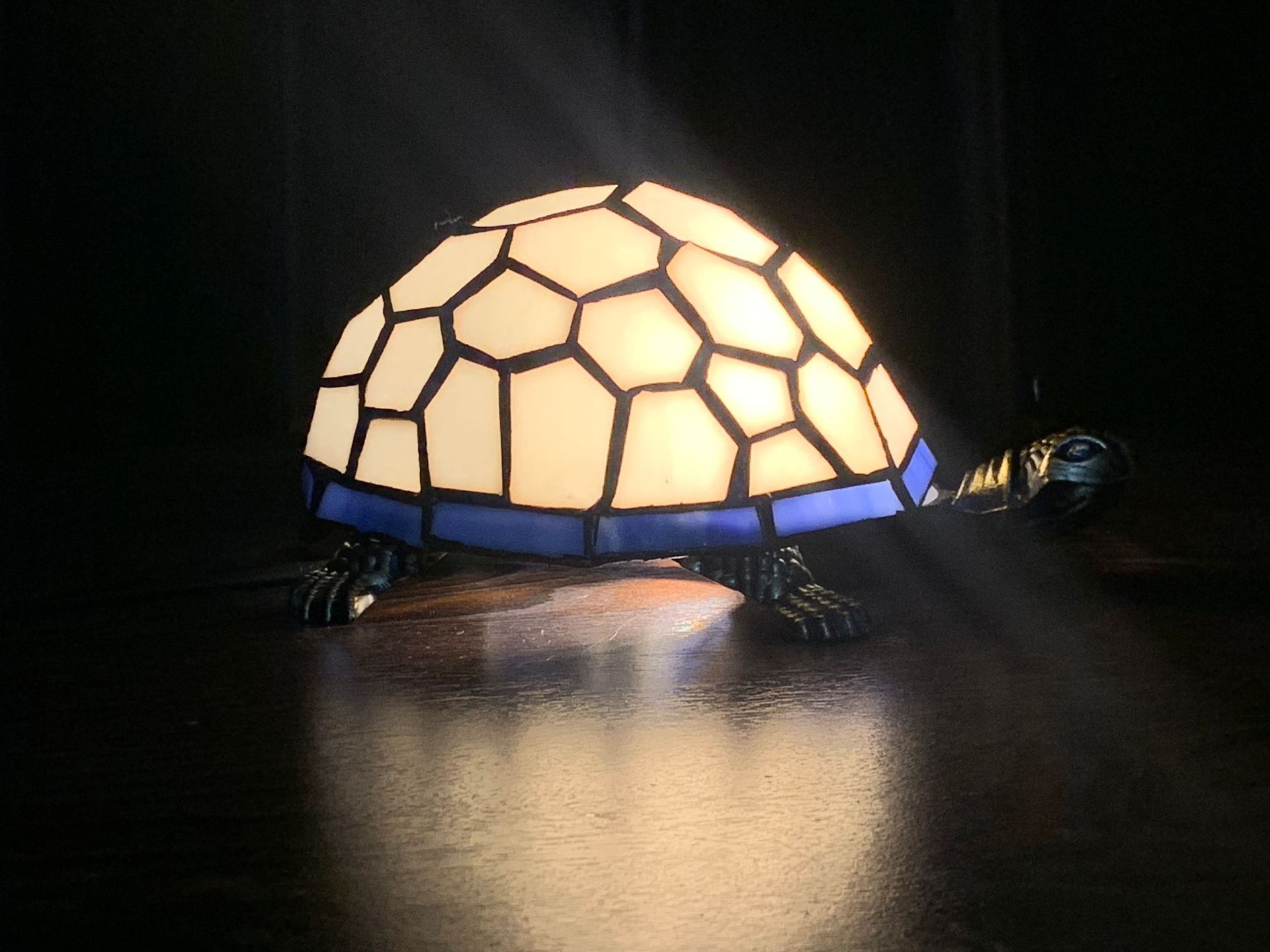 Turtle lamp, frosted glass, classic turtle, frosted resin tabletop lamp, beautiful pet, focus lamp series, gift Z250710