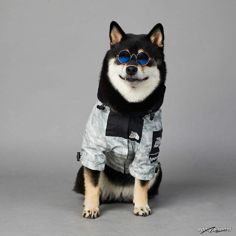Raincoat: Warm Windproof Waterproof Dog Clothes Rain Coat With Adjustable Hood - Outdoor Pet Jacket, XXL