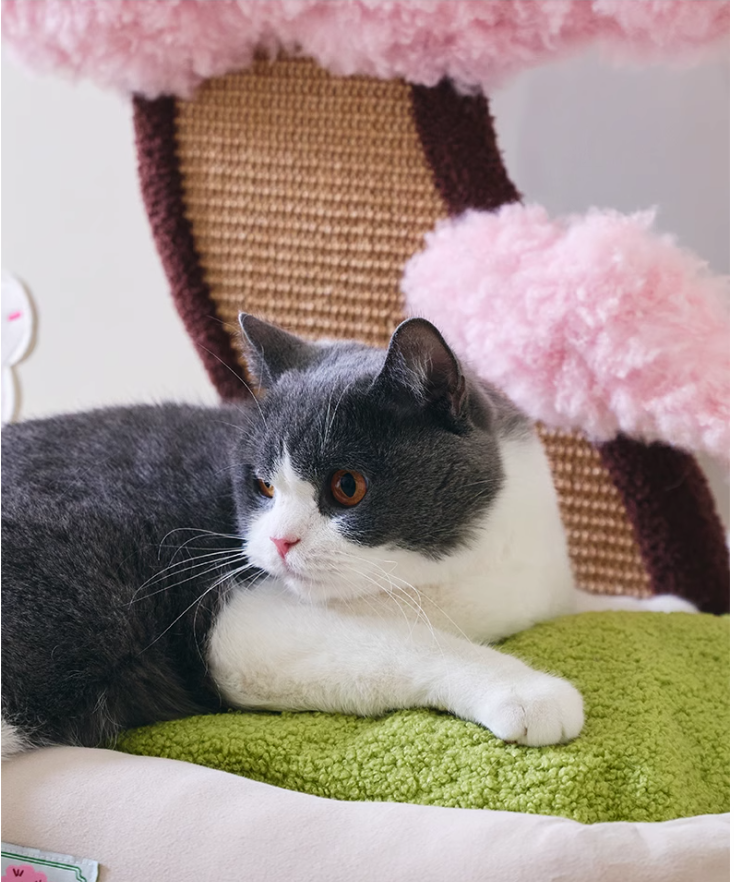 Pet-Friendly Feline Fun Zone Cozy Cat Nest w/ Built-in Scratch Pad Inspired by Sakura