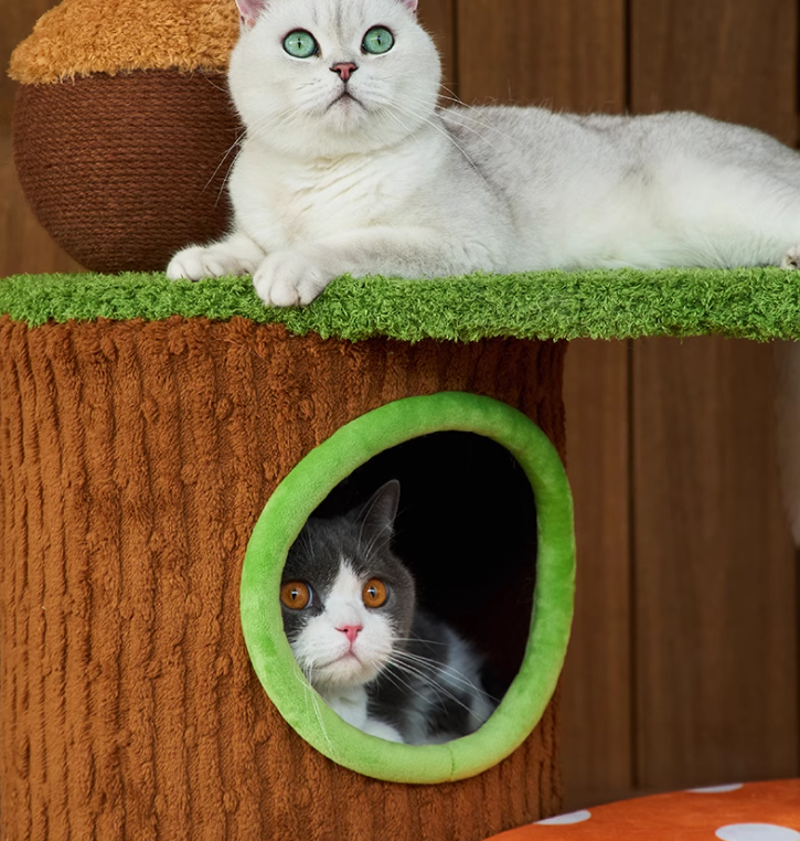 Cat-Friendly Play Structure - Mushroom Design W/Scratch Surface for Cats