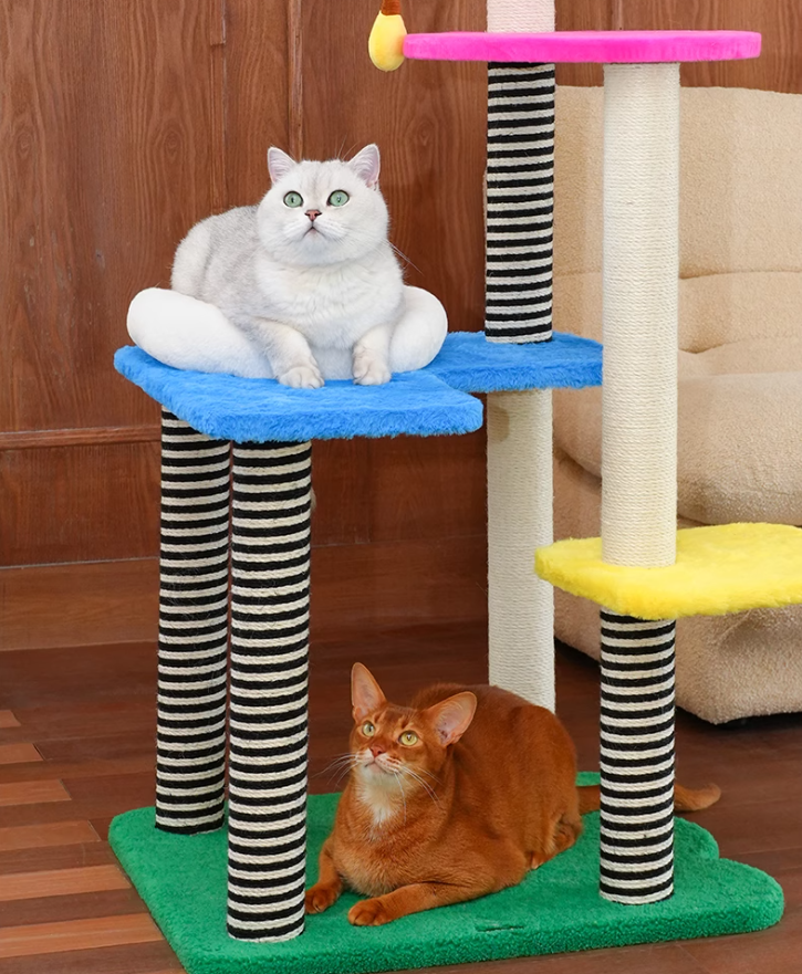 Multi-functional Feline Lounge Setup Featuring LED Light Fixture
