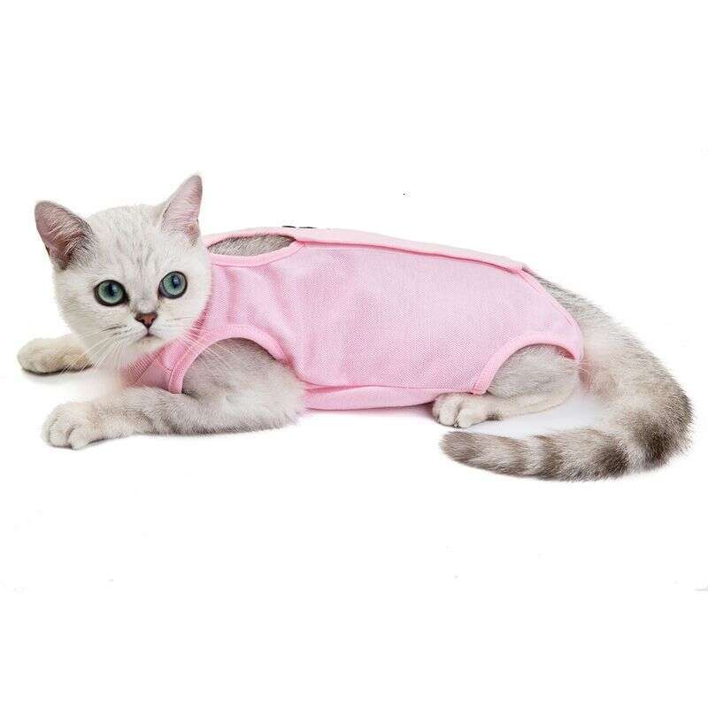 designer brand Pet clothes new spring and summer cat surgical gowns sterilization