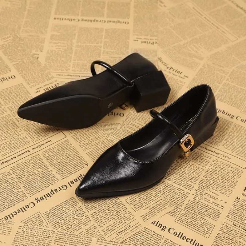 Elegant Pointed Toe Women Heels Shoes Chunky Fashion Heeled Sandals Summer 2025 Fashion Party Pumps New Dress Muejr De Sandalias W250910
