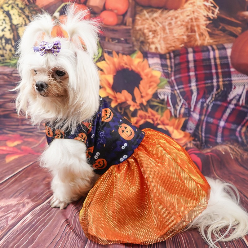 Halloween Dog Dress with Double-Layer Mesh Skirt Pumpkin & Colorful Skull Prints for Dogs 2-14kg Perfect for Halloween Parties Themed Events & Daily W