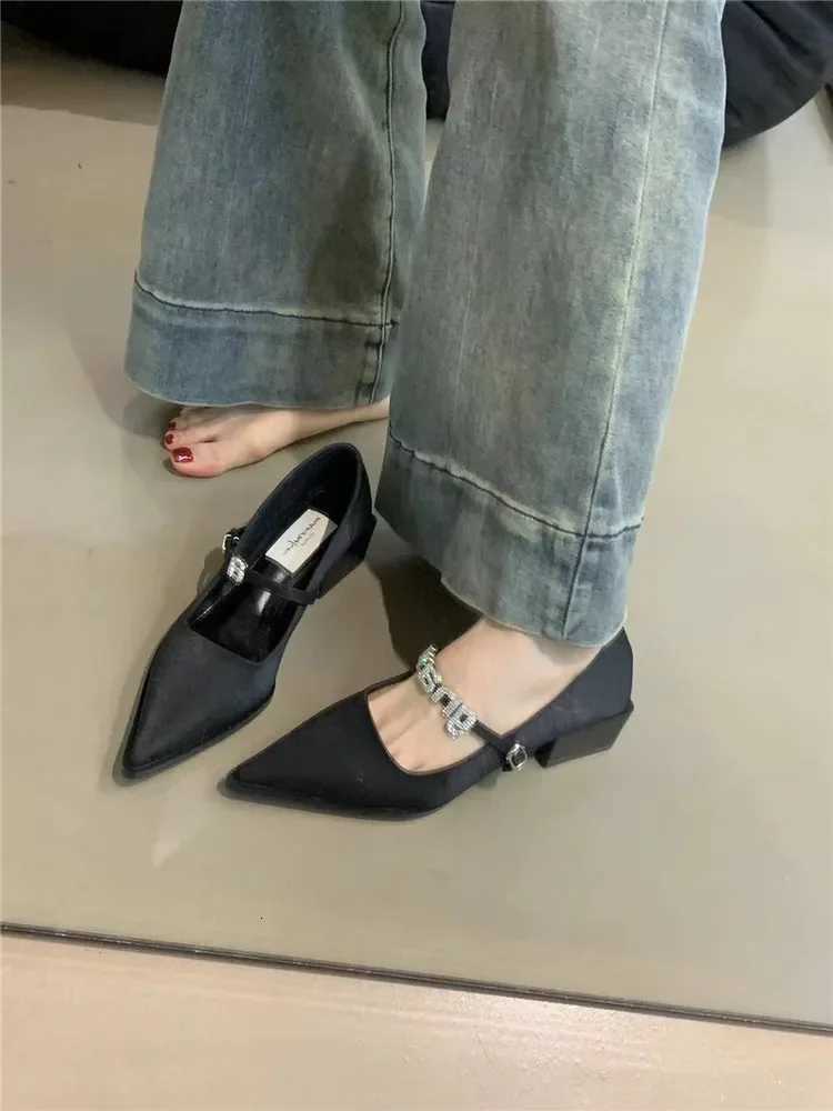 2024 New Style Silver Leather Shoes Fashion Pointed Low Heel Mary Jane Womens Casual Shoes W250910