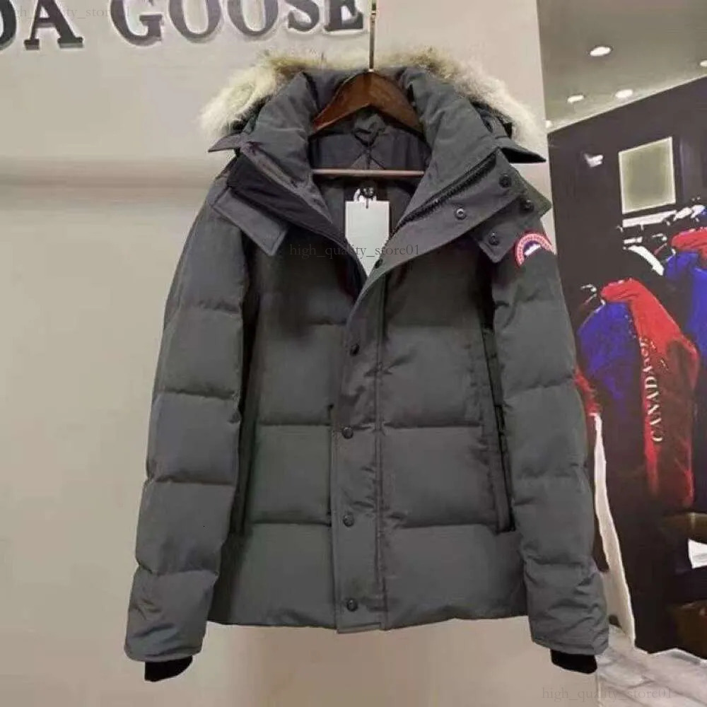 Canada Jacket Designer Jackets Parka Jacket Men's Hooded Winter Canadalys Gooselys Puffer Jacket Coat Warm Thicken Cotton Goosecoats Coat With Removable Hood 156
