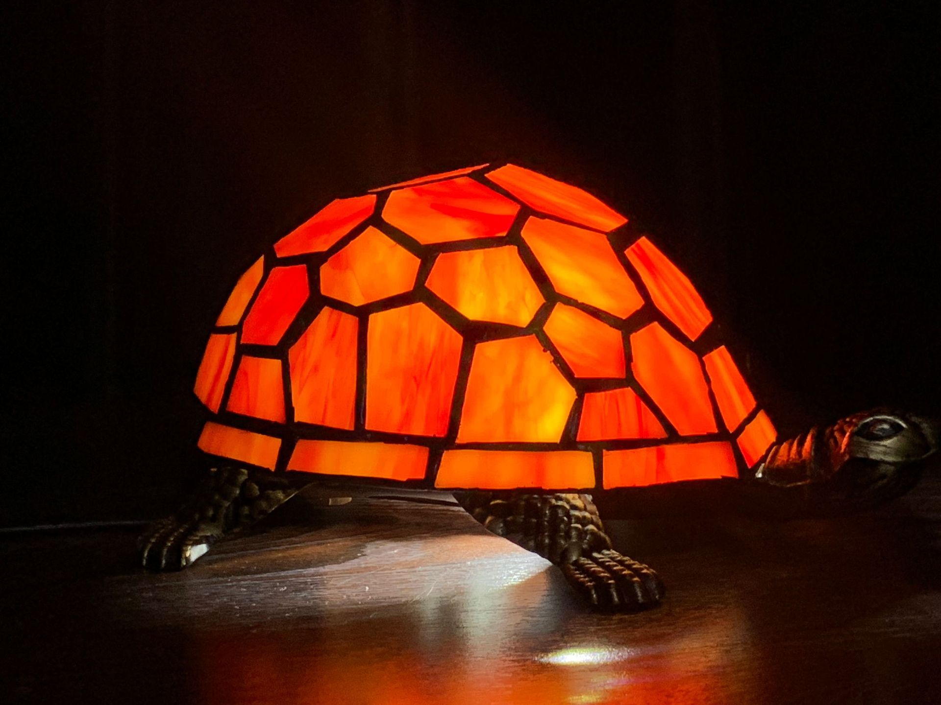 Turtle lamp, frosted glass, classic turtle, frosted resin tabletop lamp, beautiful pet, focus lamp series, gift Z250710
