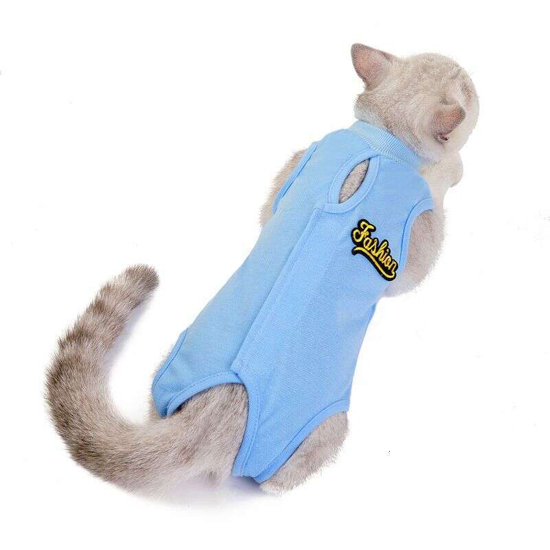 designer brand Pet clothes new spring and summer cat surgical gowns sterilization