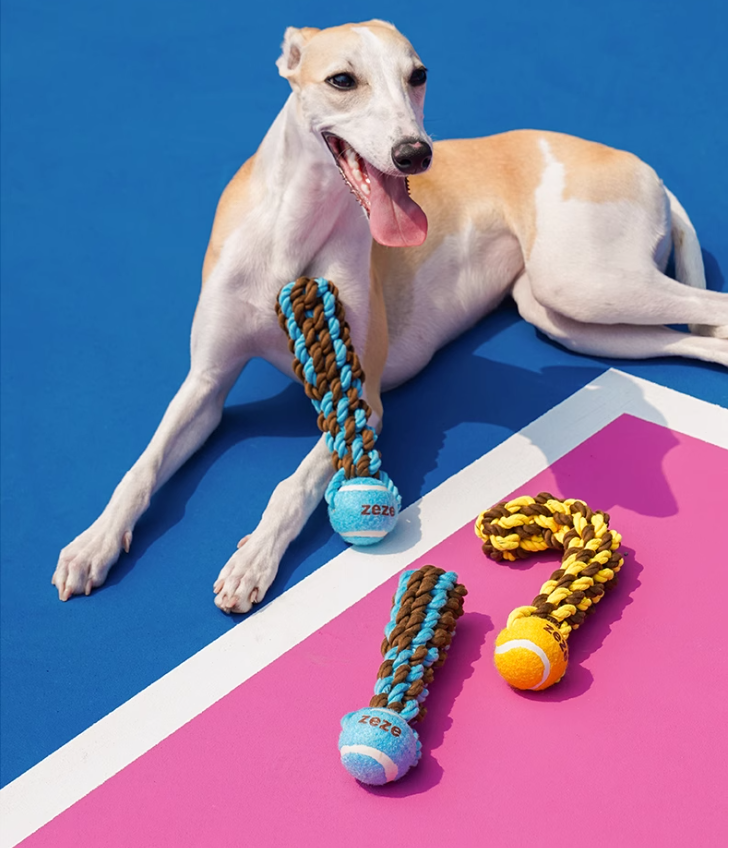 Long-lasting Teething Aid: Multi-functional K9 Cord Chewing Puzzle Game