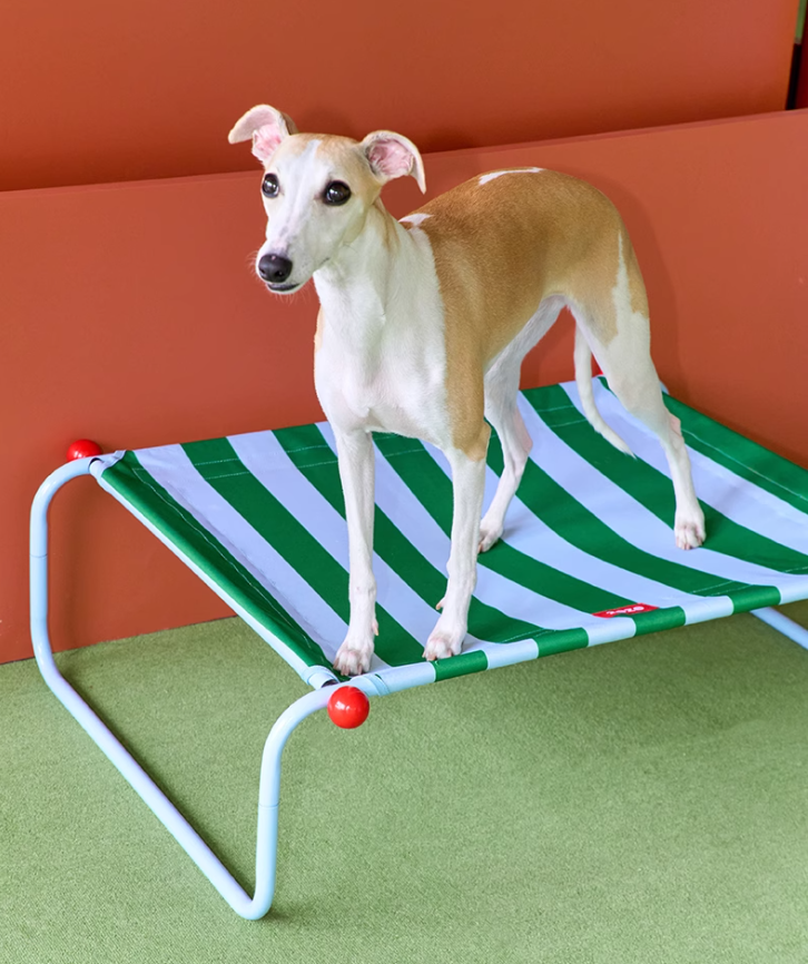Four Season Compact Canopy Tent Style Puppy Sleeping Pad Quick Dismantle Feature