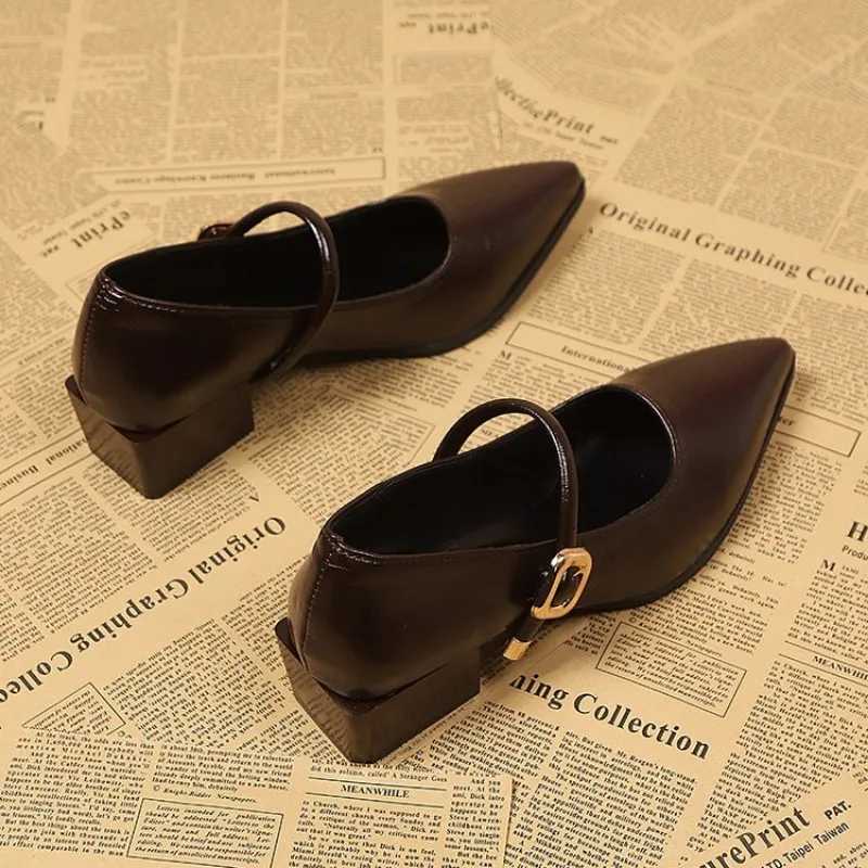 Elegant Pointed Toe Women Heels Shoes Chunky Fashion Heeled Sandals Summer 2025 Fashion Party Pumps New Dress Muejr De Sandalias W250910