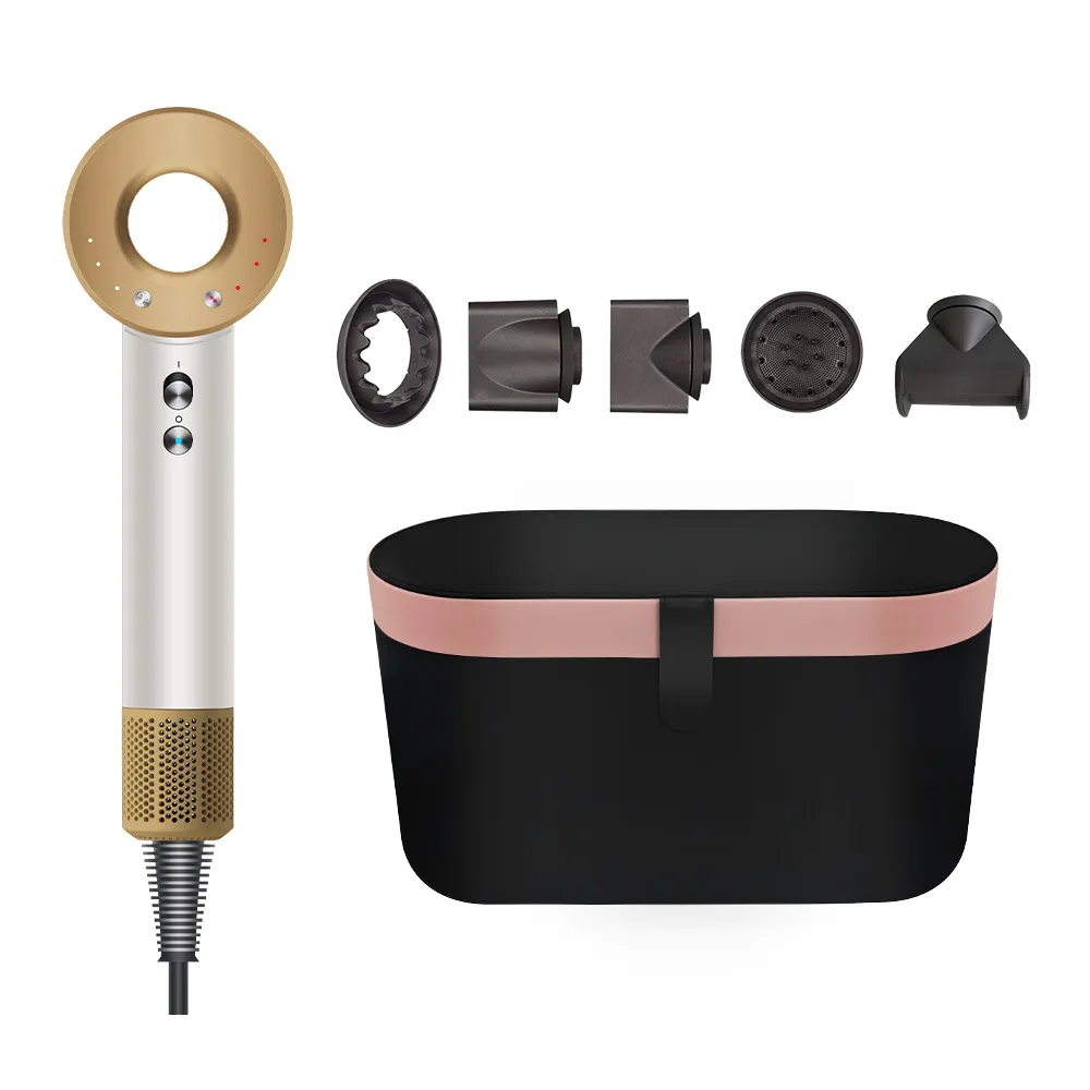 Designer Dryers Hair Anion Salon MuteHairdryer Designer Hair Care Electric Hair Drier Quick-dry Safety Blow Power 5-in-1 with gift box 1.8M