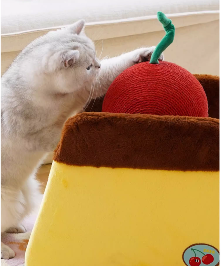 Eco-Friendly Pet Proof Products: Preventing Damage from Kitty Claws