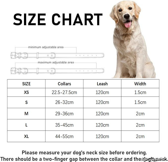 With Bell Dog Tag Classic Design Adjustable Leather Pet Collar And Leash Small Medium Dogs, Lightweight For Daily Use B311