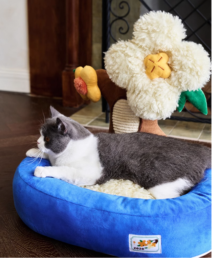 Durable Potted Cat Bed with Built-in Scratching Area