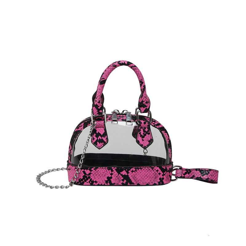 2025 autumn new fashionable snake bag skin pattern European and American style niche design transparent women's shoulder bag designer bag