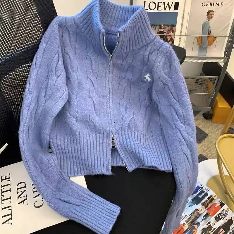 Vintage Korean Style Stand Collar Sweater Jacket Autumn/Winter Age-Reducing Zipper Embroidery Knitted Cardigan University Top dongdumaoyi
