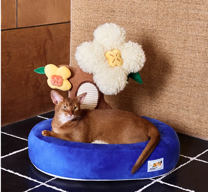Durable Potted Cat Bed with Built-in Scratching Area