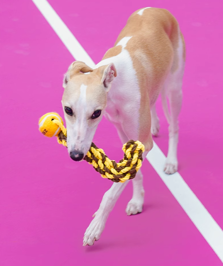 Long-lasting Teething Aid: Multi-functional K9 Cord Chewing Puzzle Game
