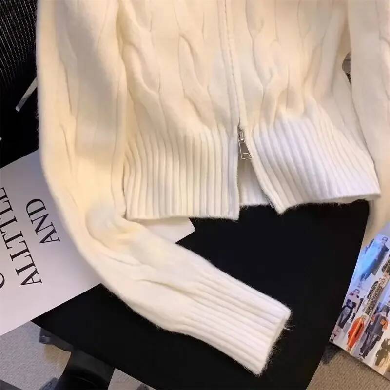Vintage Korean Style Stand Collar Sweater Jacket Autumn/Winter Age-Reducing Zipper Embroidery Knitted Cardigan University Top dongdumaoyi