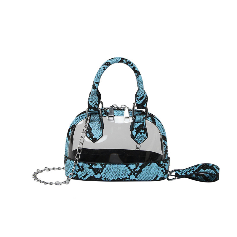 2025 autumn new fashionable snake bag skin pattern European and American style niche design transparent women's shoulder bag designer bag