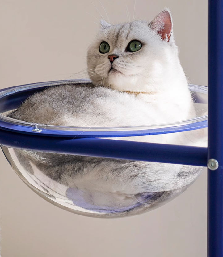 All-In-One Cat Playset Elevated Pet Platform Combining Comfortable Bedding & Exploration