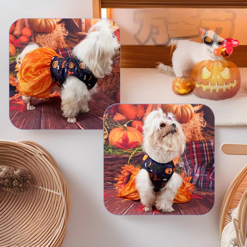 Halloween Dog Dress with Double-Layer Mesh Skirt Pumpkin & Colorful Skull Prints for Dogs 2-14kg Perfect for Halloween Parties Themed Events & Daily W