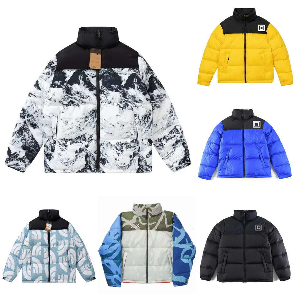 Northjackets Designer Mens Puffer 700 NF jacket northen face jacket puffer facejacketdesigner doudoune down jacket vest coats winter jacket veste homme Zipper 701