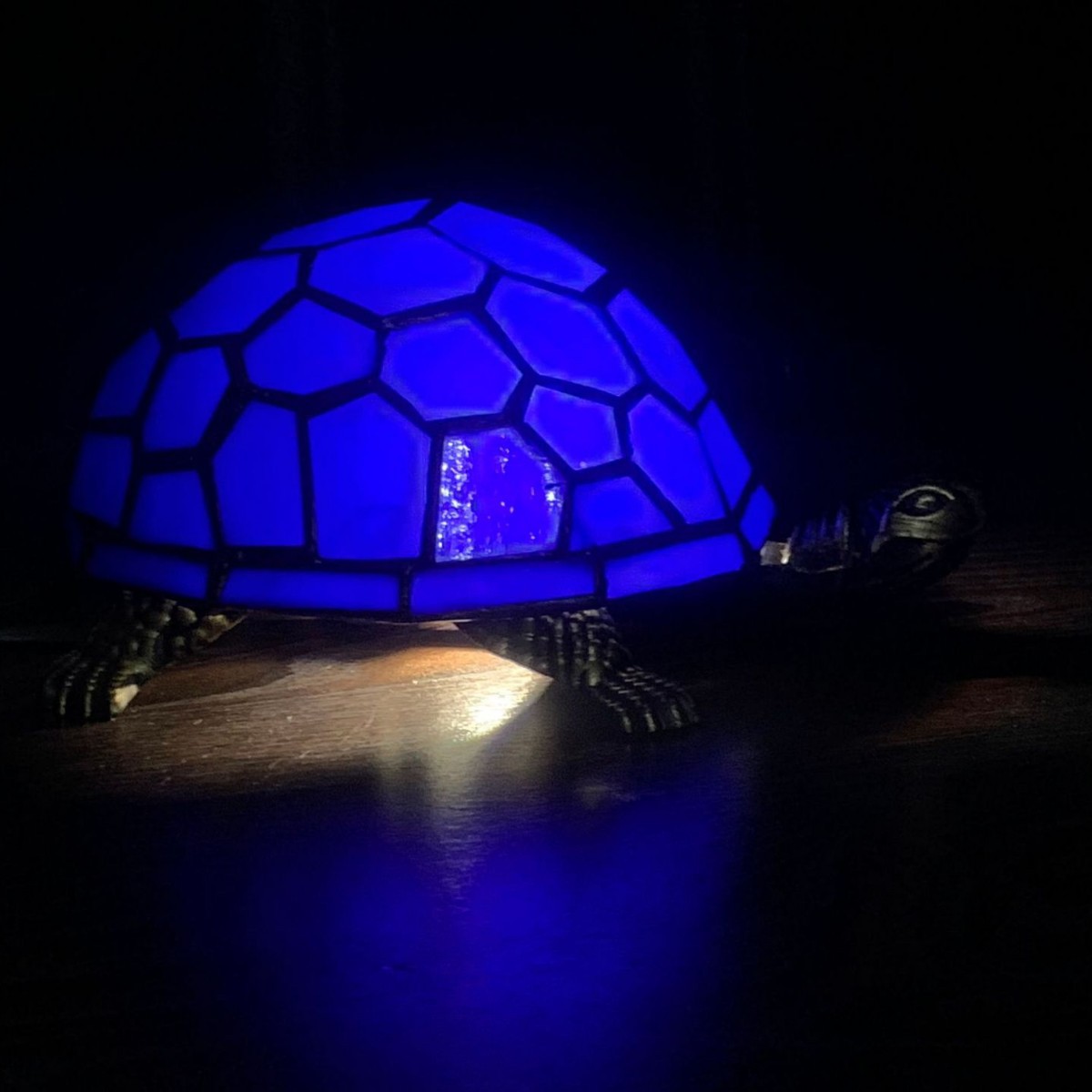 Turtle lamp, frosted glass, classic turtle, frosted resin tabletop lamp, beautiful pet, focus lamp series, gift Z250710