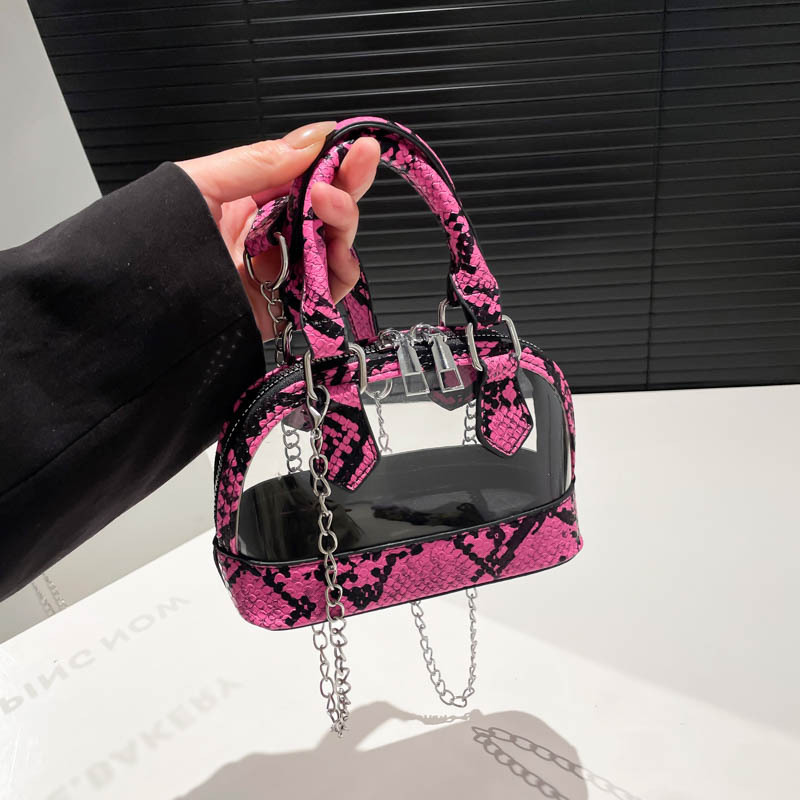 2025 autumn new fashionable snake bag skin pattern European and American style niche design transparent women's shoulder bag designer bag