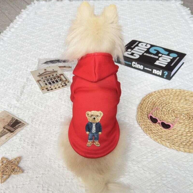 designer brand Pet Trend Cartoon Bear Print Autumn And Winter New Milk Silk Cat dog Warm Hoodie