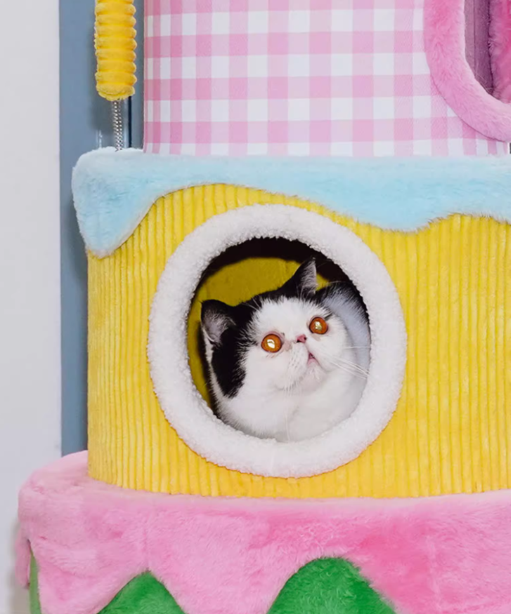 Jumping Platform Integrated into Pet Bed Design Ultimate Play Area for Cats