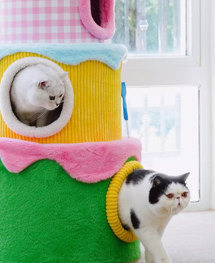 Jumping Platform Integrated into Pet Bed Design Ultimate Play Area for Cats