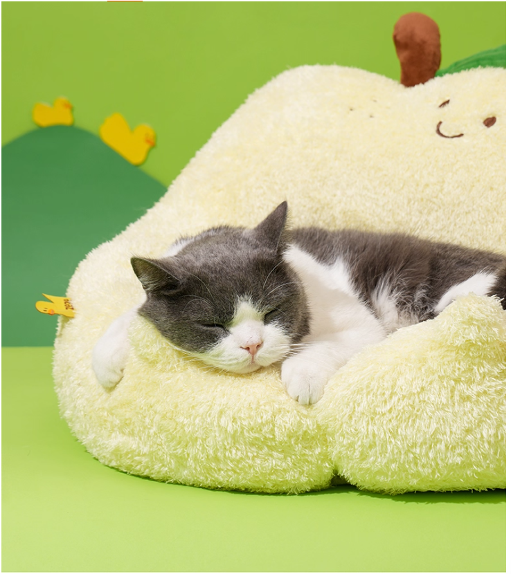 Pet Paradise: Stylish & Comfortable Indoor/Outdoor Animal Shelter