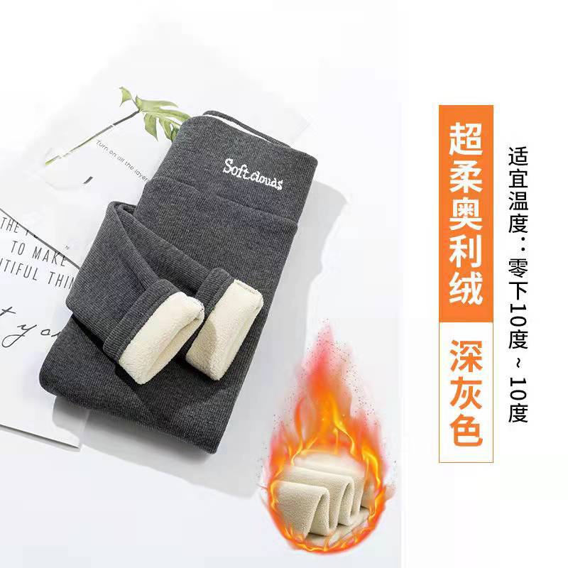 Women's Winter Leggings Thermal Velvet Cotton Slimming Tights with Fleece Pant Black Stretch Gray Thick Warm Leggings for Women