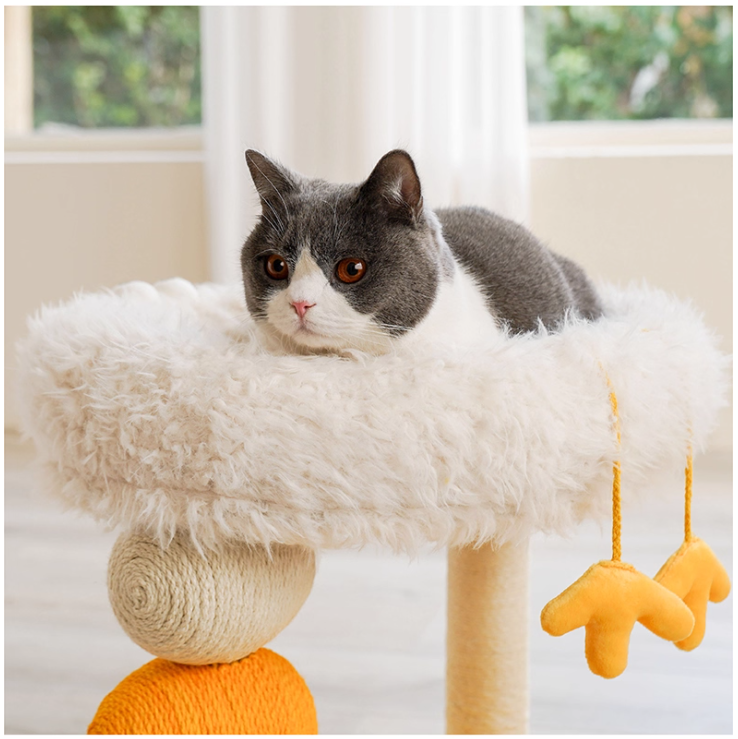 Durable Indoor Cat Playset Featuring a Cozy Nestling Spot for Mini Felines