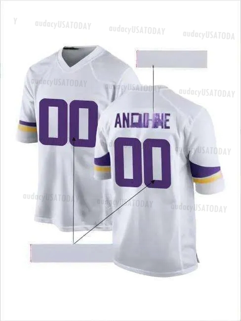 Personalized Custom Football Jersey Justin Jefferson Aaron Jones TJ Hockenson McCarthy Addison Harrison Darnold Moss