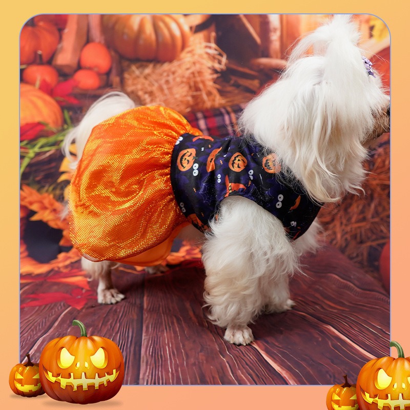 Halloween Dog Dress with Double-Layer Mesh Skirt Pumpkin & Colorful Skull Prints for Dogs 2-14kg Perfect for Halloween Parties Themed Events & Daily W