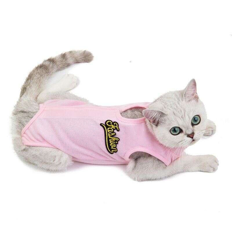 designer brand Pet clothes new spring and summer cat surgical gowns sterilization