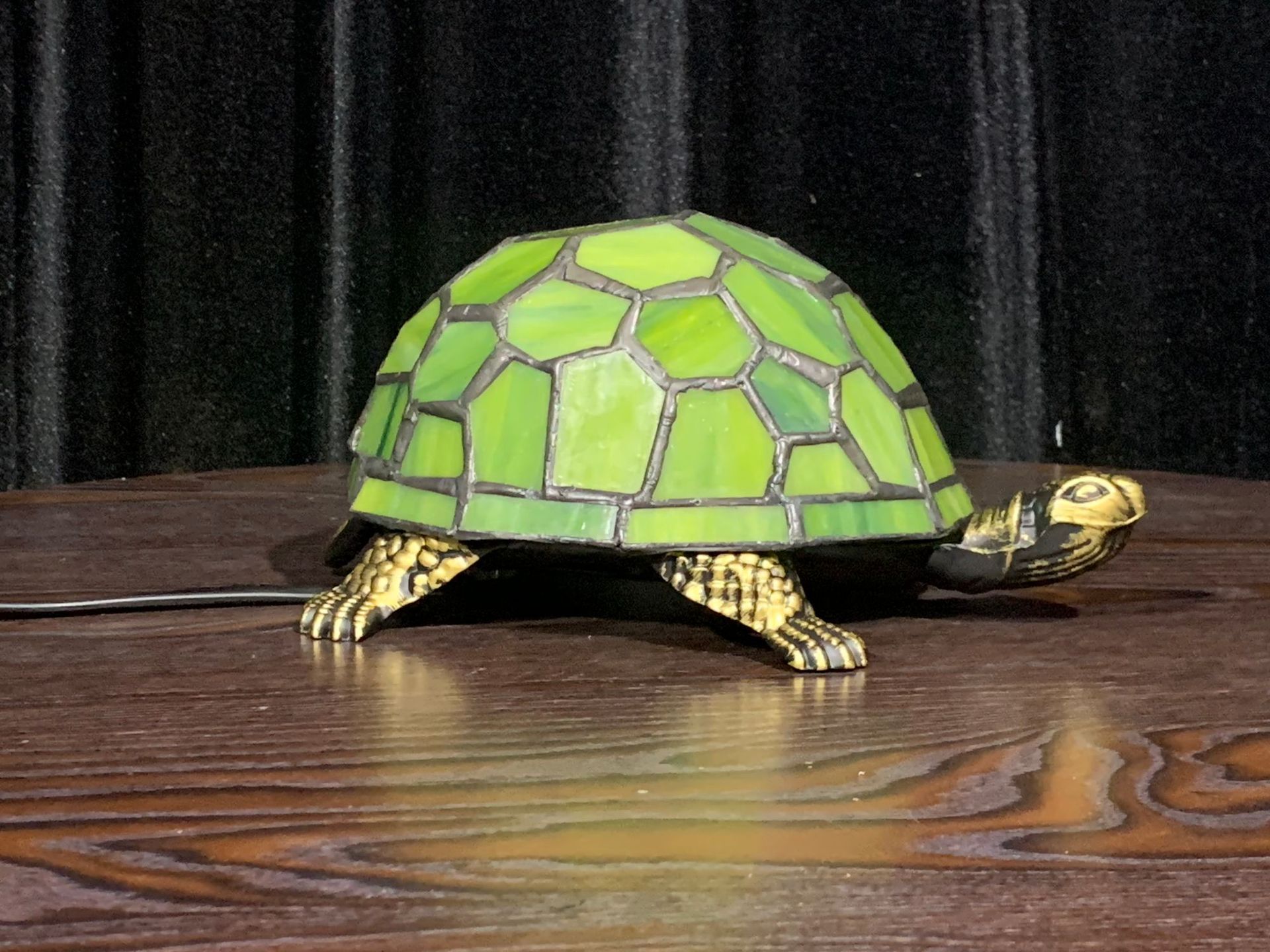 Turtle lamp, frosted glass, classic turtle, frosted resin tabletop lamp, beautiful pet, focus lamp series, gift Z250710
