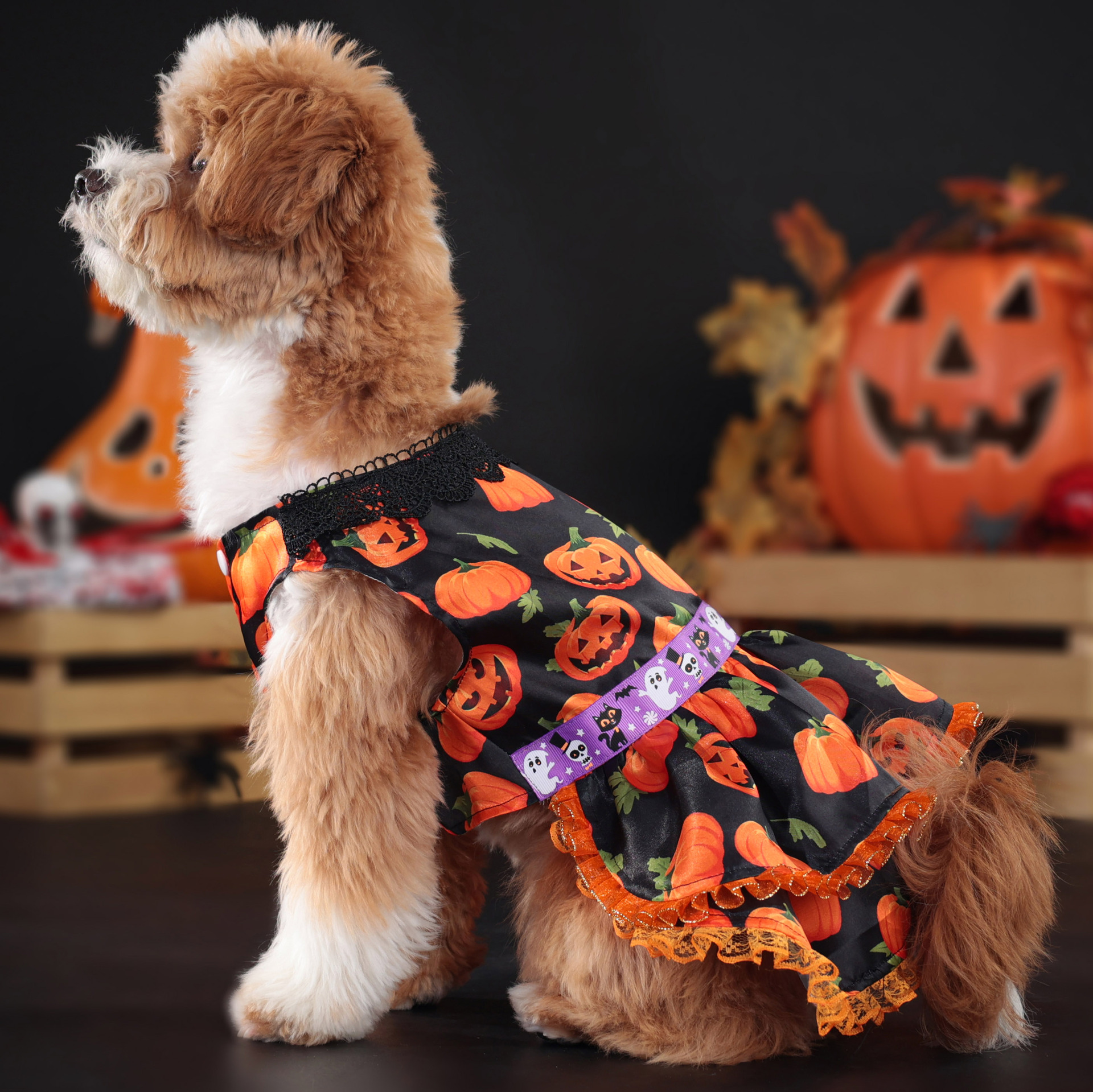 Halloween Pumpkin Print Dog Dress with Lace Trims, Festive Party Costume for Dogs, 4 Sizes (S-XL) for Dogs 2-14kg, Perfect for Halloween Parties, Them